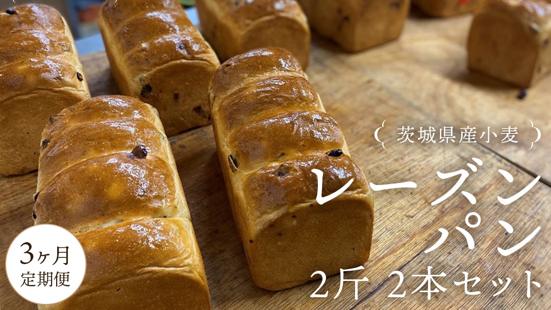 3ヶ月 定期便 】茨城県産 小麦の レーズンパン 2斤 2本 セット 食パン