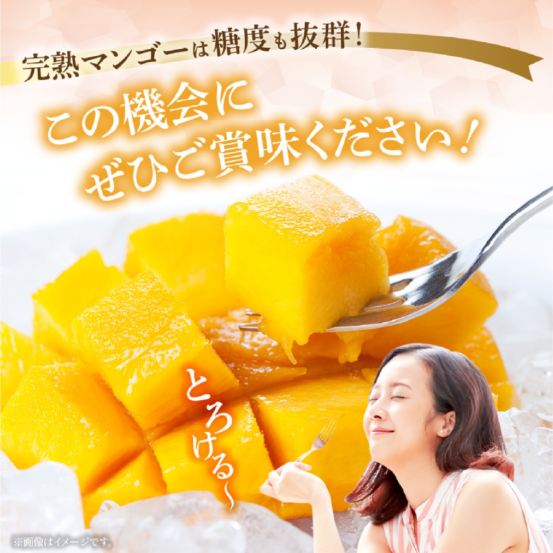 2026年発送 先行予約】生産農家応援・濃厚果肉 みやざき完熟マンゴー極
