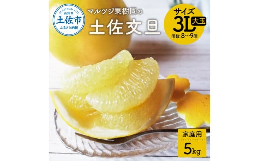 文旦 約5kg 家庭用 大玉 土佐文旦 高知 ぶんたん ブンタン 期間限定