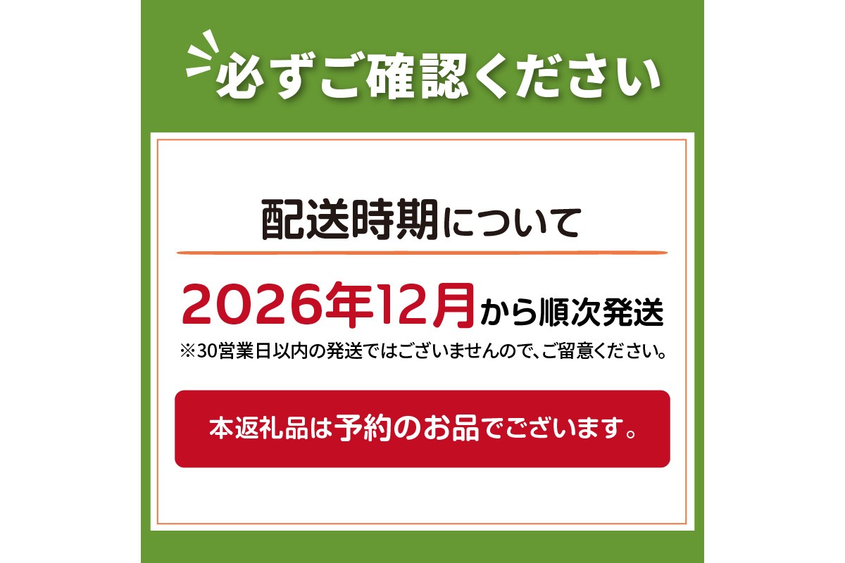 予約：2026年12月～2027年1月発送】JAきたみらい産 じゃがいも 新品種