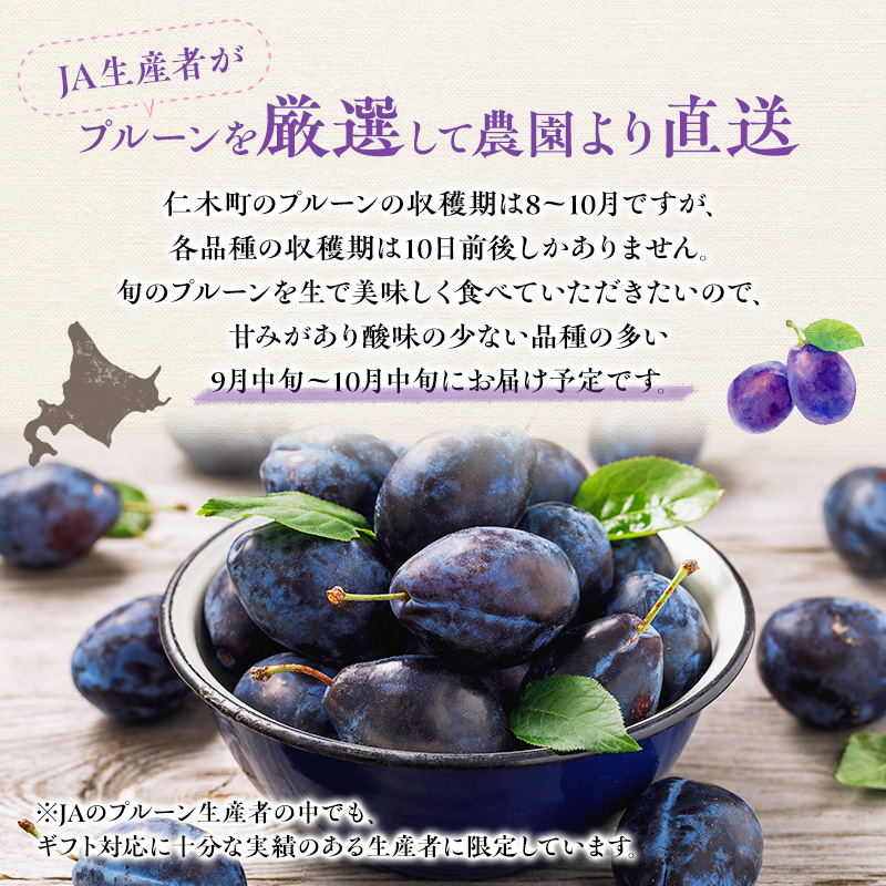 2026年発送] 北海道 仁木町産 季節のプルーン 800g（400g×2パック