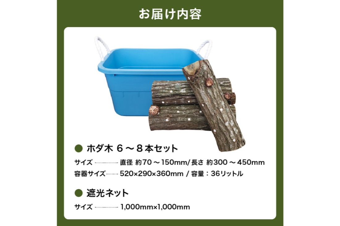 椎茸の原木栽培2夏経過品 ／ 家庭菜園 お手軽 栽培キット 自由研究