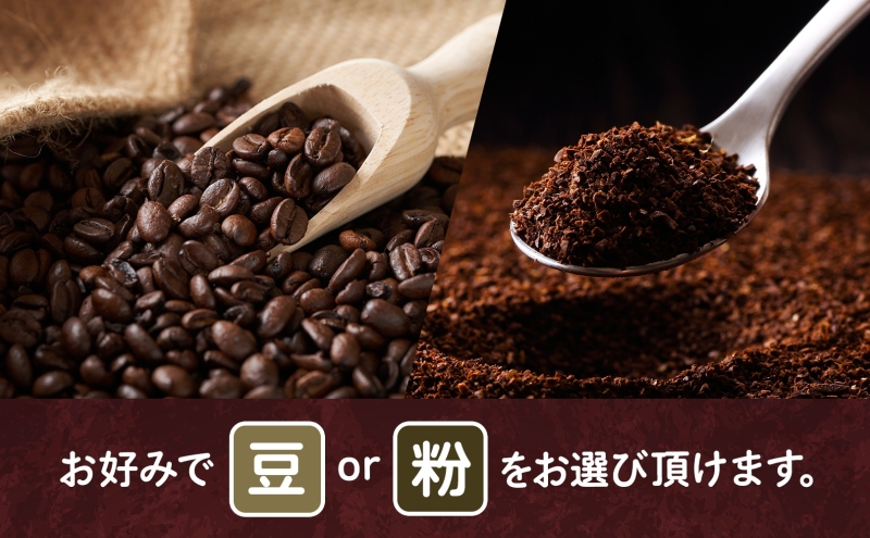 コーヒー 豆 粉 選べる 3種セット 各200g 計600g 飲料類 木炭焙煎珈琲