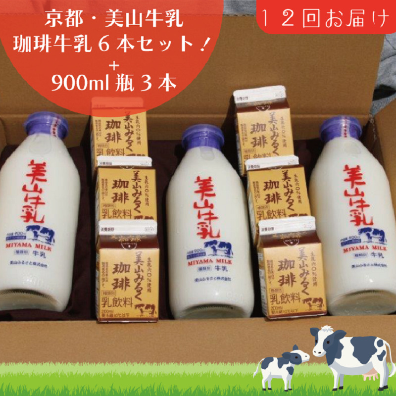 牛乳 定期便 12ヶ月 京都 美山牛乳 瓶 900ml ×3本 珈琲牛乳 200ml ×6本