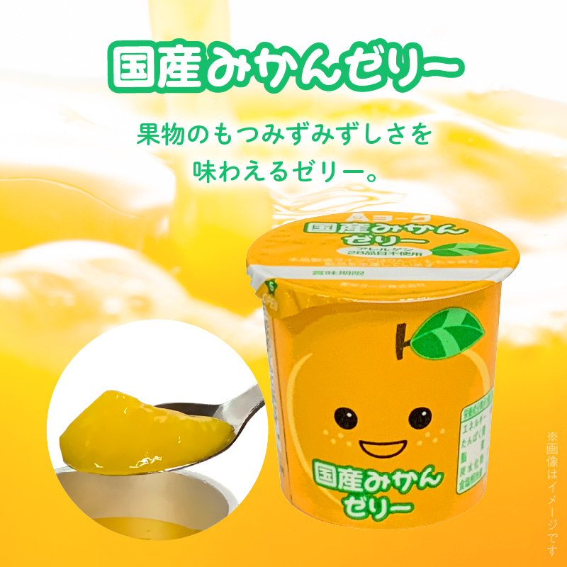 3ヶ月定期便】愛知ヨーク コアコアヨーグルト＆国産ゼリーセット 16個
