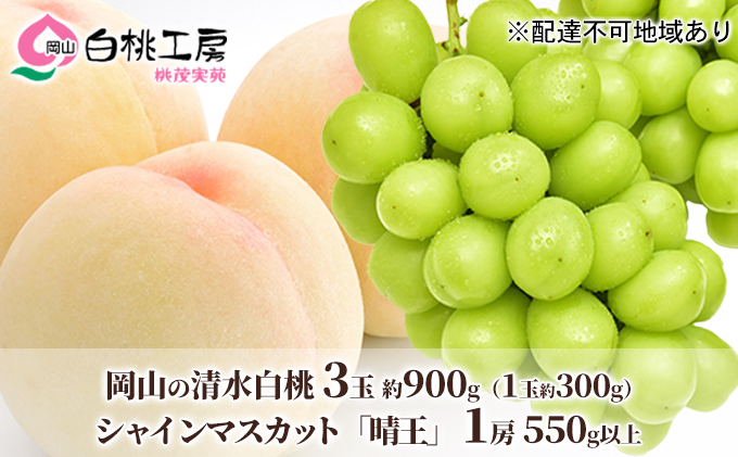 桃 ぶどう 2027年 先行予約 清水白桃 3玉合計 約900g（1玉約300g