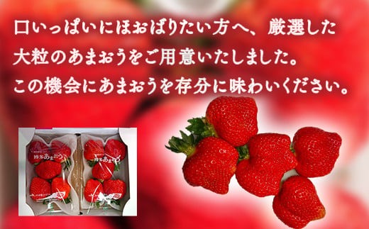 いちご あまおう 厳選大粒 4p 【2027年発送】 [THE FARM_strawberry