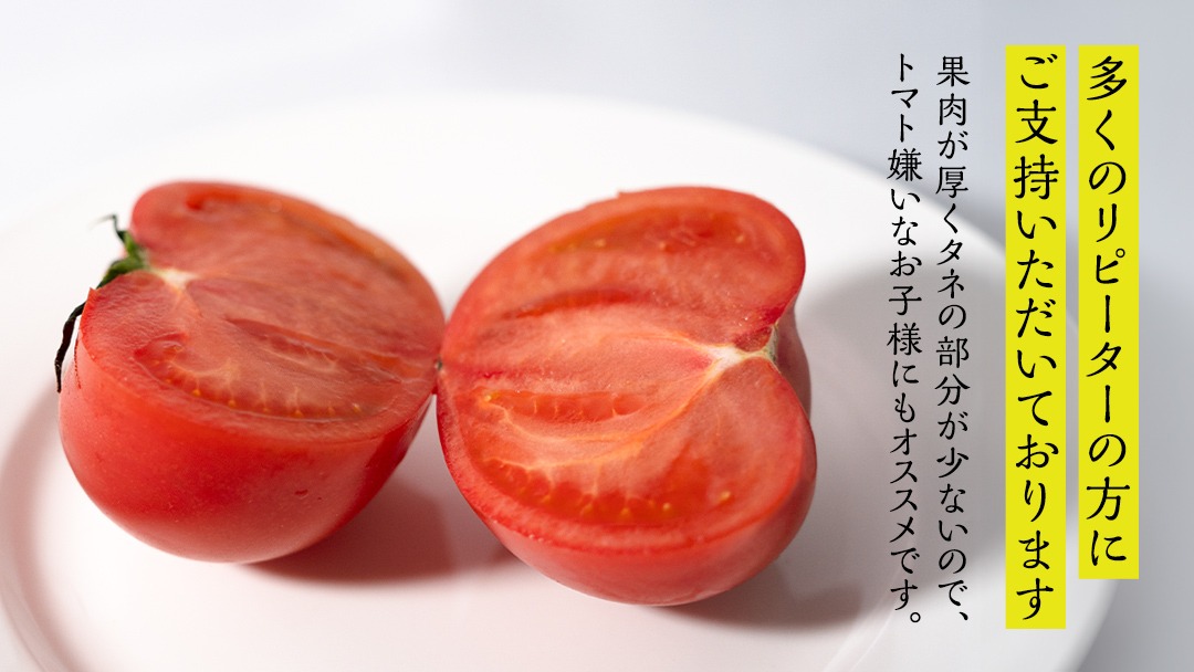 トマト 6_600x600_crop_center.jpg?v=