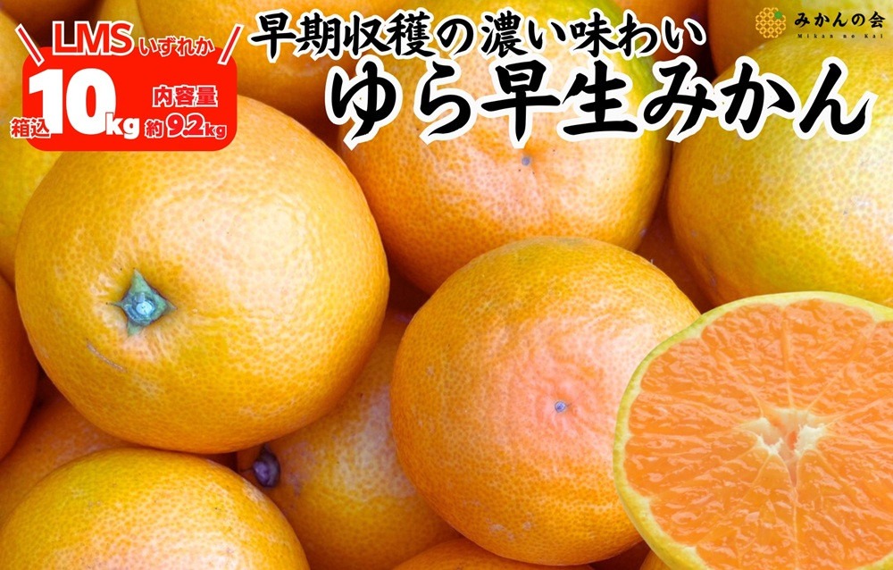 超メルカリ市週末限定SALE！有田みかん　由良早生　10キロ　特選 産地直送】☆有田みかん☆極早生☆家庭用10キロ ｜ 果物/温州みかん
