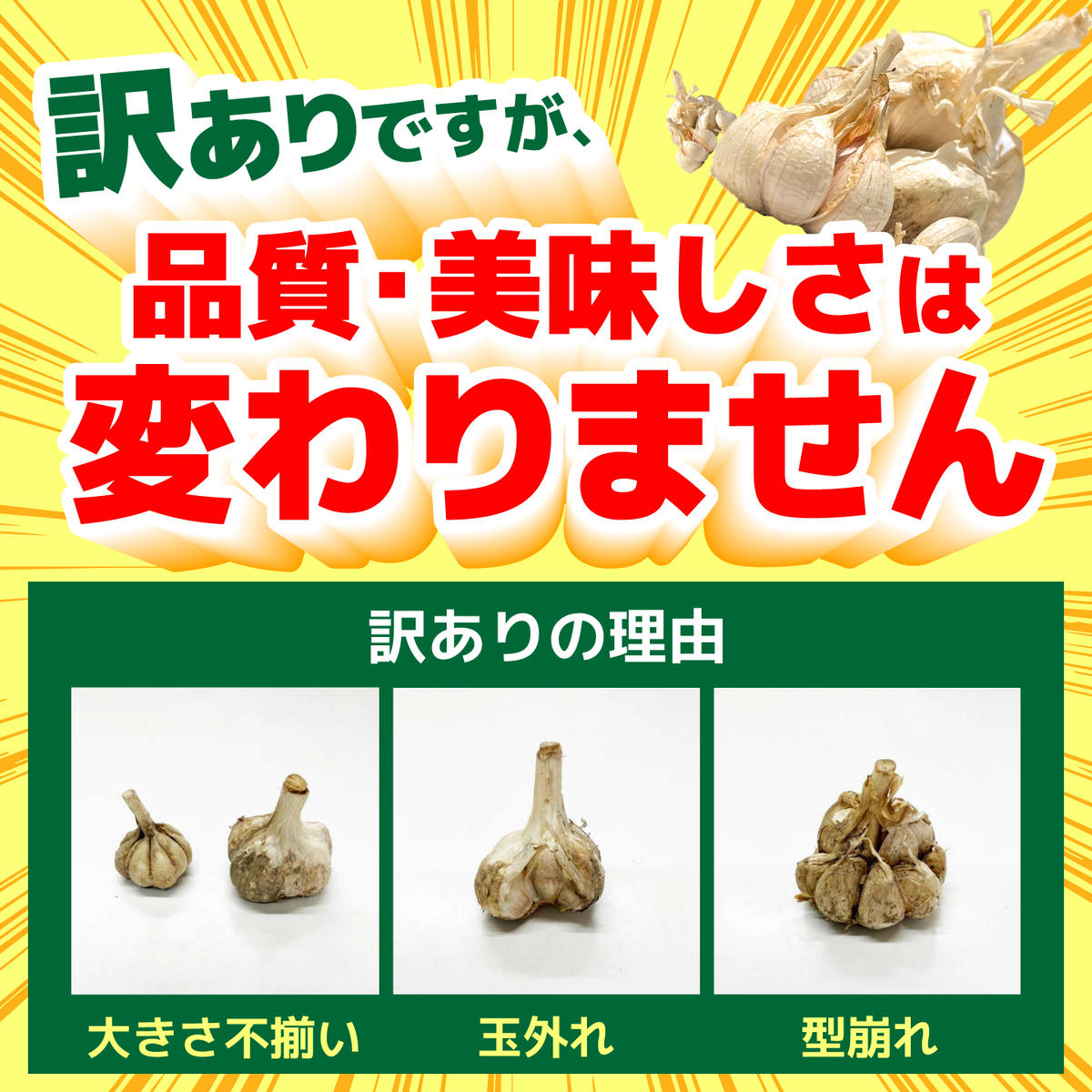 訳あり】 平戸にんにく 約2kg 乾燥 ニンニク 平戸にんにく 訳アリ わけ