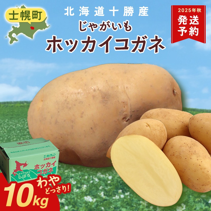 CF】北海道 じゃがいも ホッカイコガネ 10kg 北海道産 十勝産