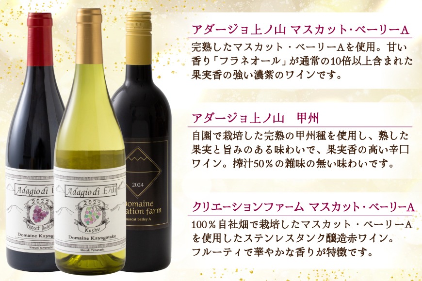 韮崎産 赤白スパークリング12本 お得な飲み比べセット 750ml ×11本