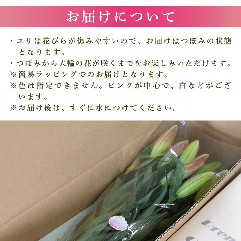 定期便2回 ユリ オリエンタルリリー 5本 花 切り花 プレゼント 贈り物