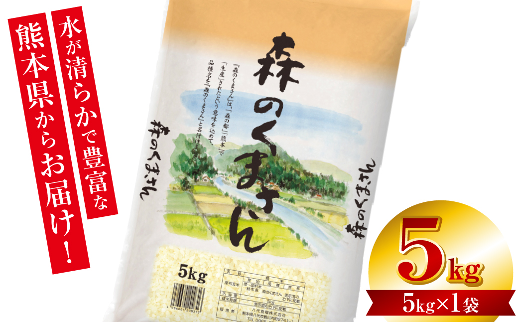 令和7年産】 熊本県産 森のくまさん 5kg (5kg×1袋) オリジナル