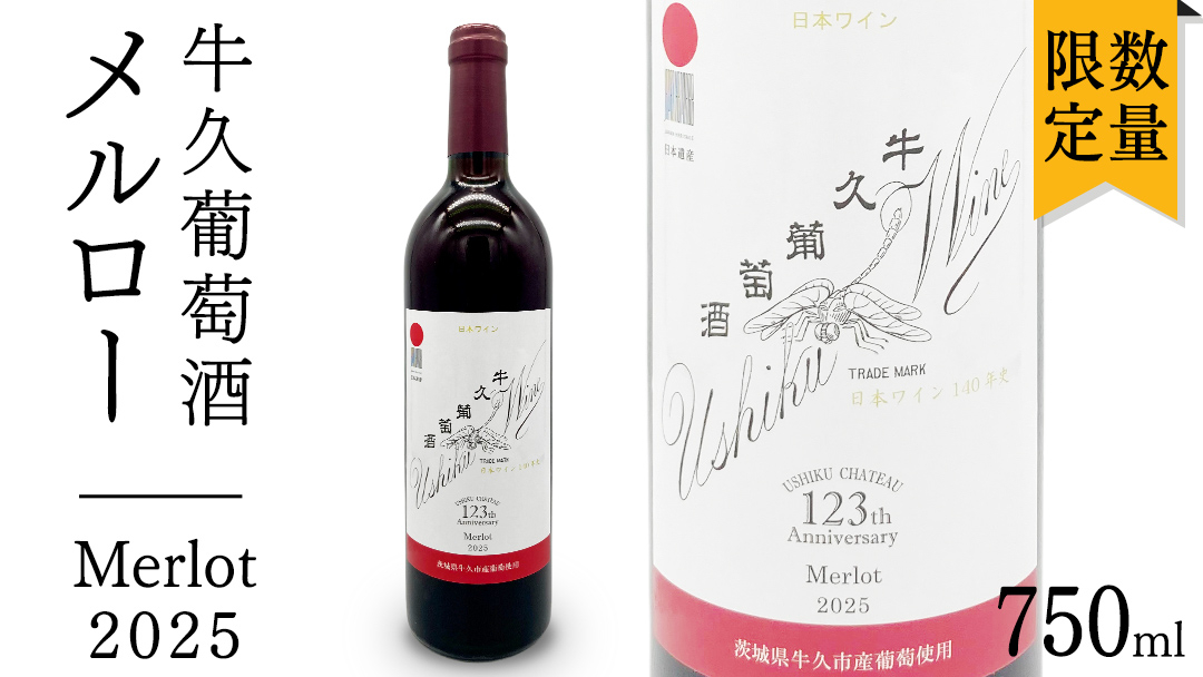 蔵寶 赤ワイン 720ml 木箱入り 牛久葡萄酒 メルロー 2025 ( 赤 ) 750ml 1本 【数量限定】 【日本