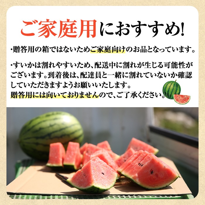 0165005a】《2026年5月以降発送》小玉すいか・ピノ・ガール(2玉