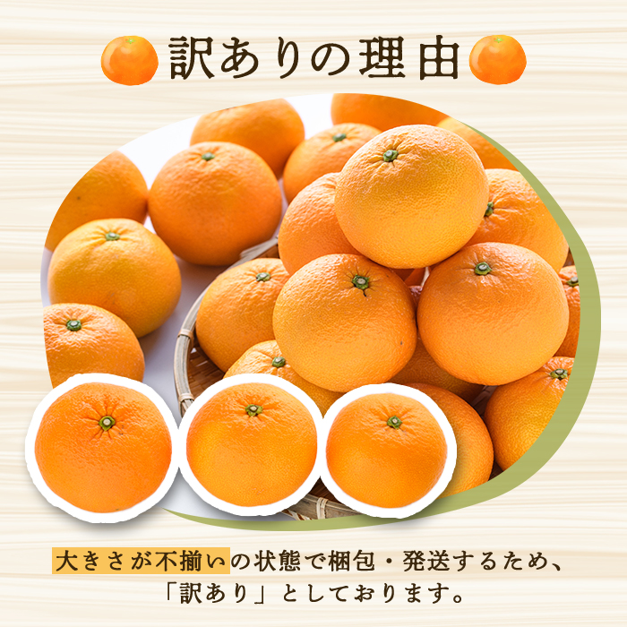 先行予約受付中！2027年2月上旬以降順次発送予定＞ 訳あり！紅甘夏 (約