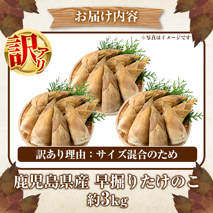 4d304793-845c-48e4-9062-