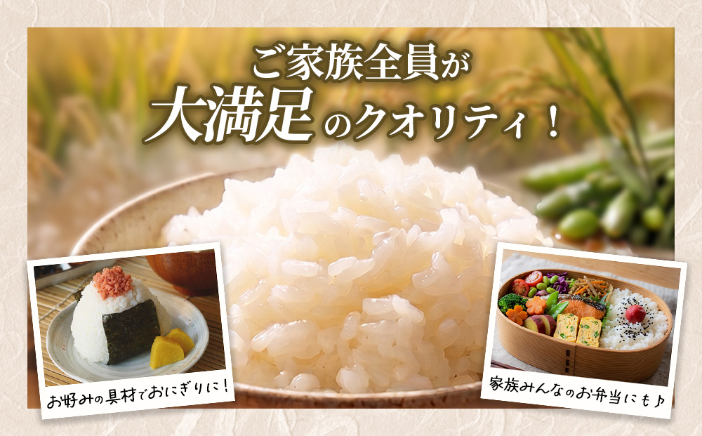 定期便5ヶ月】【令和8年産】茨城コシヒカリ 10kg（5kg×2袋）【精米