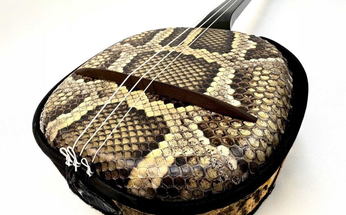 池武当新垣三線店 本蛇皮強化張り三線初心者セット 三線 さんしん