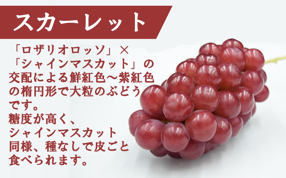4d8c3078-33bf-4103-b0fa-