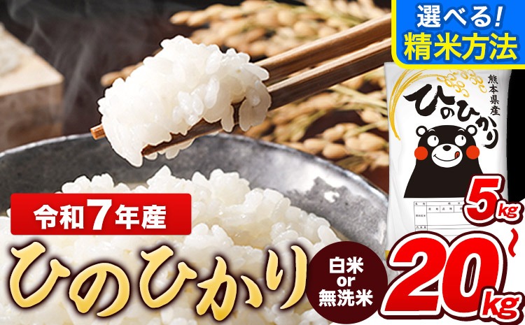 令和7年産 【総合ランキング1位獲得】 ひのひかり 白米 or 無洗米