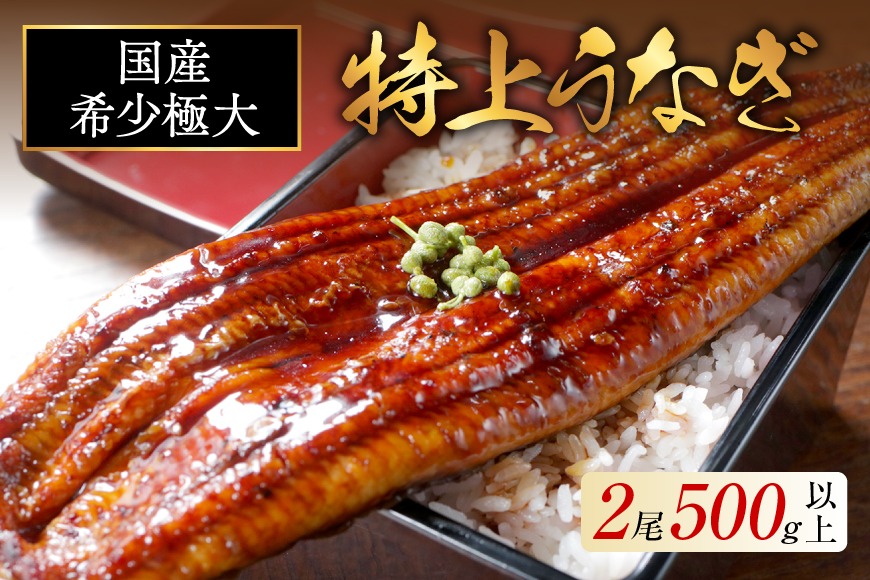 国産 希少 極大 特上うなぎ(250g×2尾)（北海道別海町） | ふるさと納税