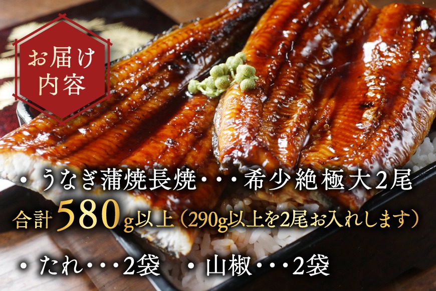 国産 希少 超極大 特上うなぎ(290g×2尾)【OT000O290】（北海道別海町