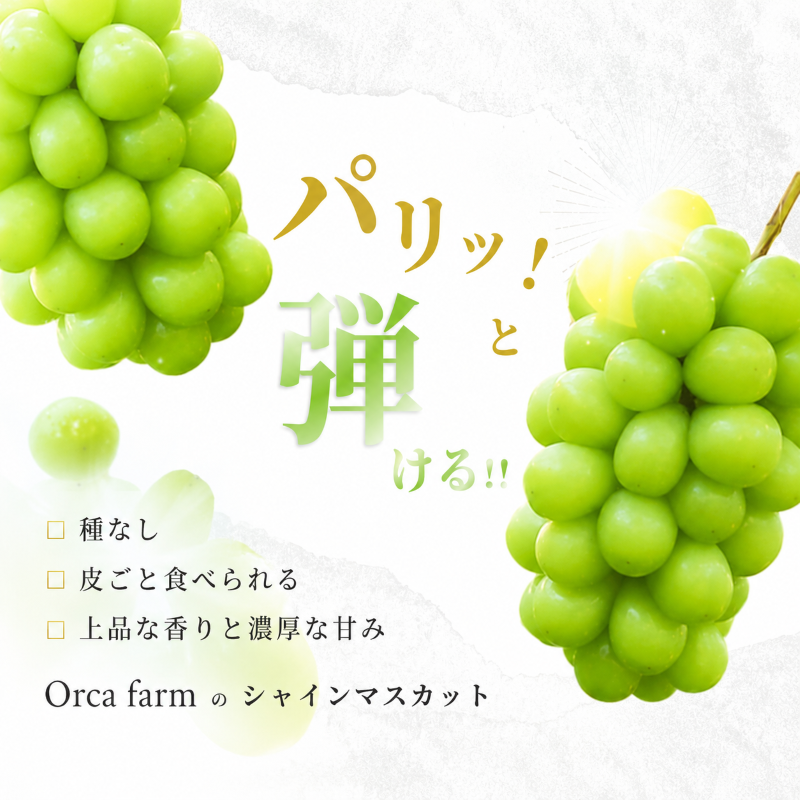 4f4c9204-f7d3-45bb-9491-