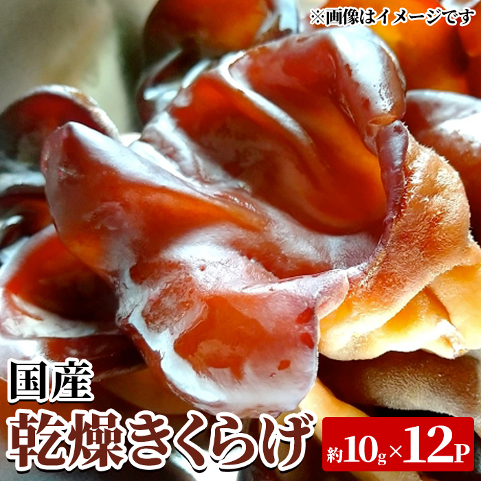 国産乾燥きくらげ(約10g×12P・計約120g) 国産 阿久根市産 きくらげ