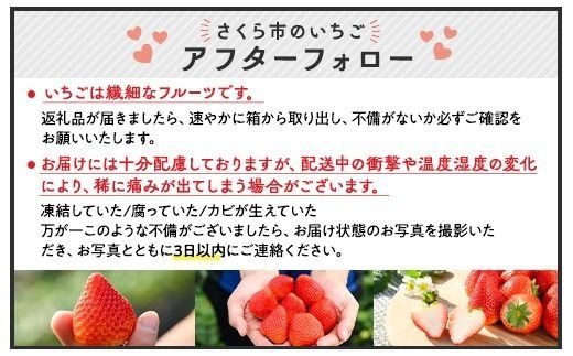 今季残り2ヶ月『順次12～14日発』チビいちご(とちあいか）約4.3kg31 楽天市場】【ふるさと納税】 楽天限定 いちご とちあいか 訳あり