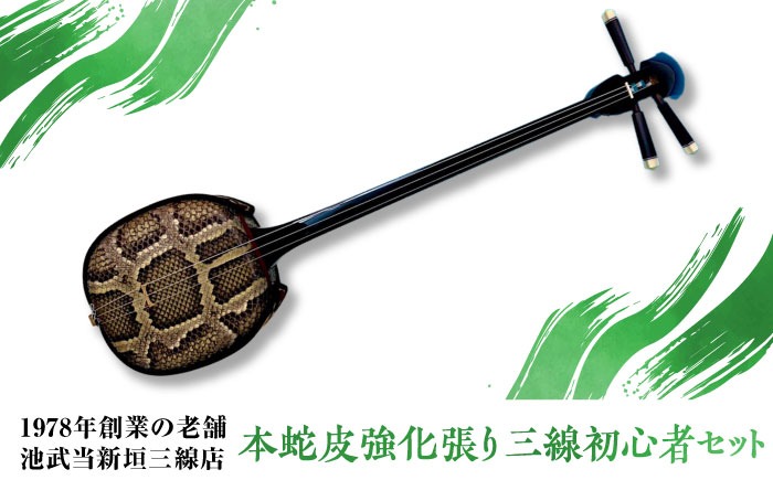 新品未使用　沖縄三線専用　11.000円　蛇皮強化(二重張)型チーガとオランダ牛爪セット 池武当新垣三線店 本蛇皮強化張り三線初心者セット 三線 さんしん