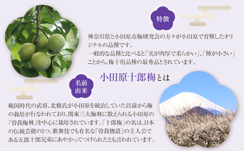 小田原のブランド梅の大粒梅干し】雲上5個入り【 梅干し 神奈川県