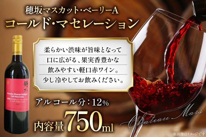 ワイン ソムリエセレクト 赤ワイン 4本 セット [本坊酒造 マルス穂坂