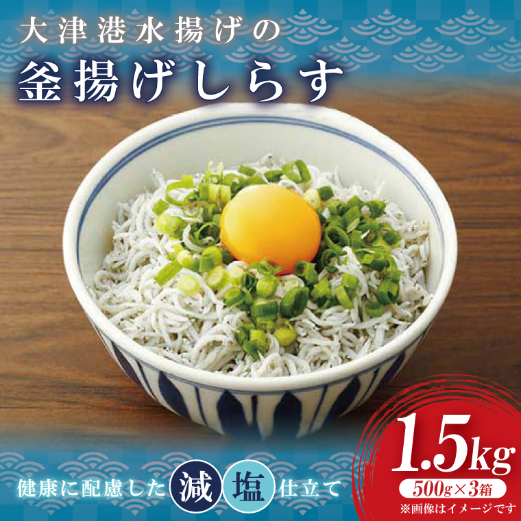 しらす丼ページ 大津港水揚げの釜揚げしらす 1.5kg(500g×3箱)【シラス しらす丼 冷凍