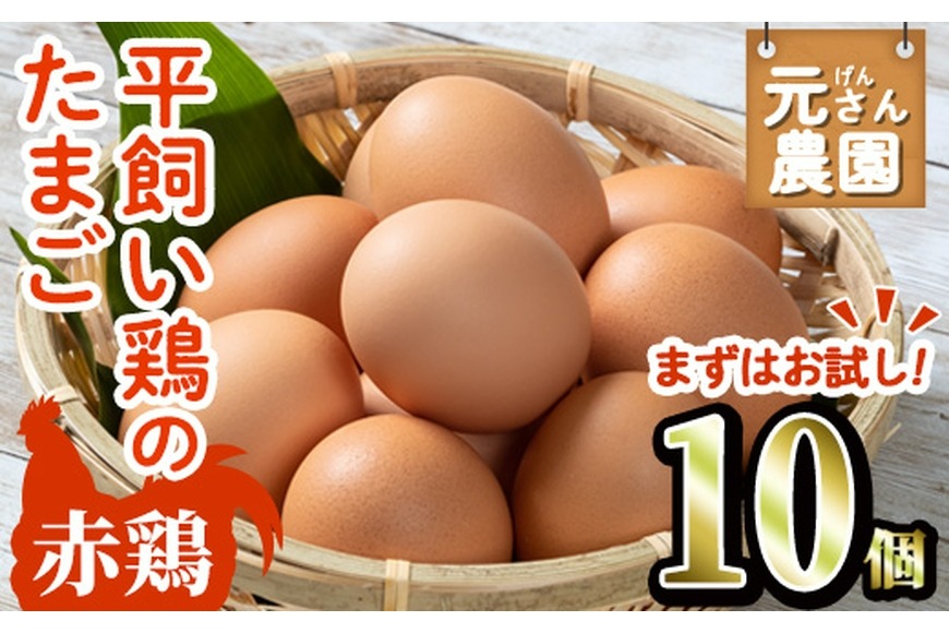 160個入り　佐伯養鶏の朝採れ平飼い卵 平飼い鶏のたまごセット (合計20個・烏骨鶏たまご10個・赤鶏たまご10個