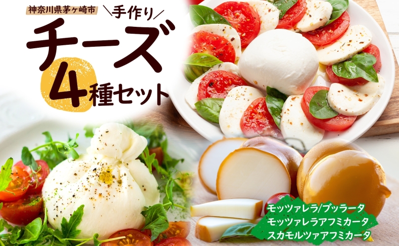 チーズ 4種 詰め合わせ 各1個 湘南 モッツァレラ チーズ ブラッター