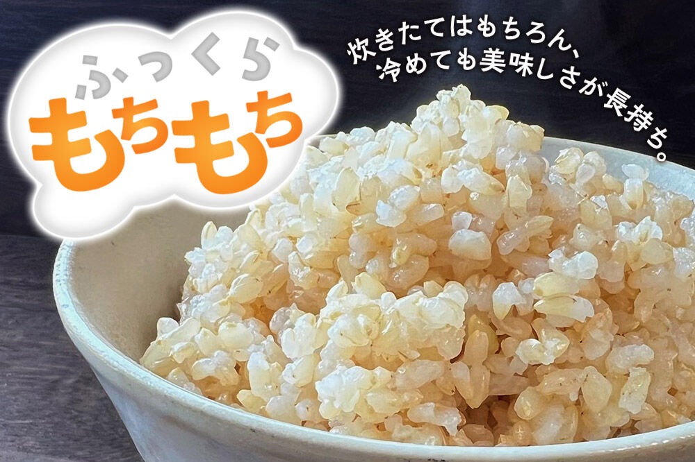 令和8年産 新米予約】あきたこまち 玄米 10kg（5kg×2袋） 秋田県北