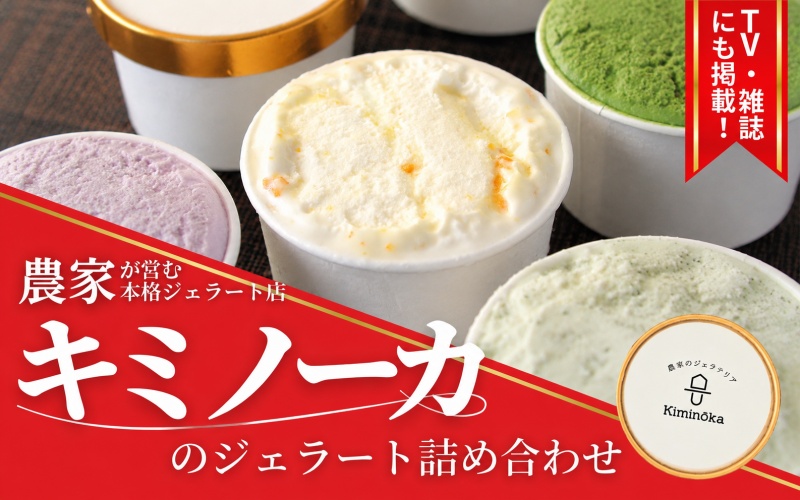 ジェラート セット 12個 5月発送 21000円 / キミノ―カ アイス クリーム