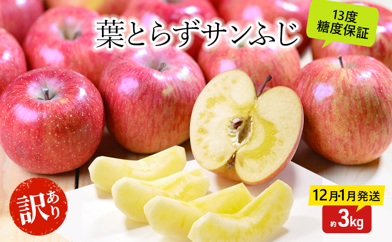 りんご 【12月・1月発送】 蜜入り 糖度13度以上 訳あり品 家庭用 葉