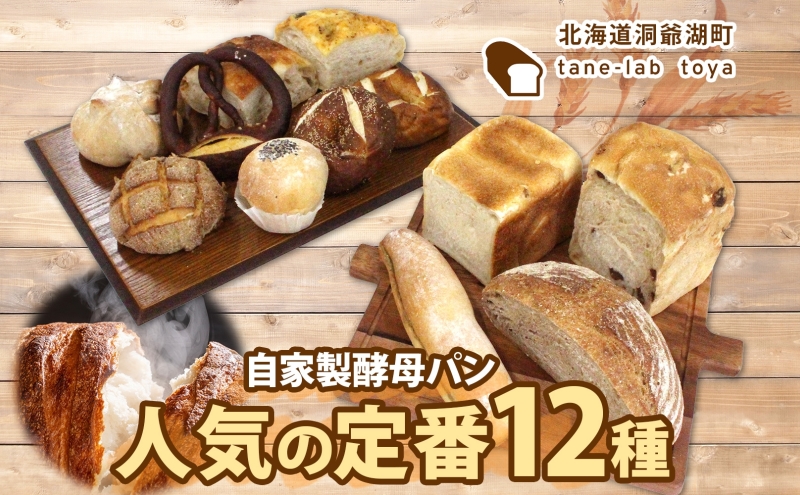 自家製酵母パン 人気の定番セット Lサイズ パン 道産 小麦 惣菜パン