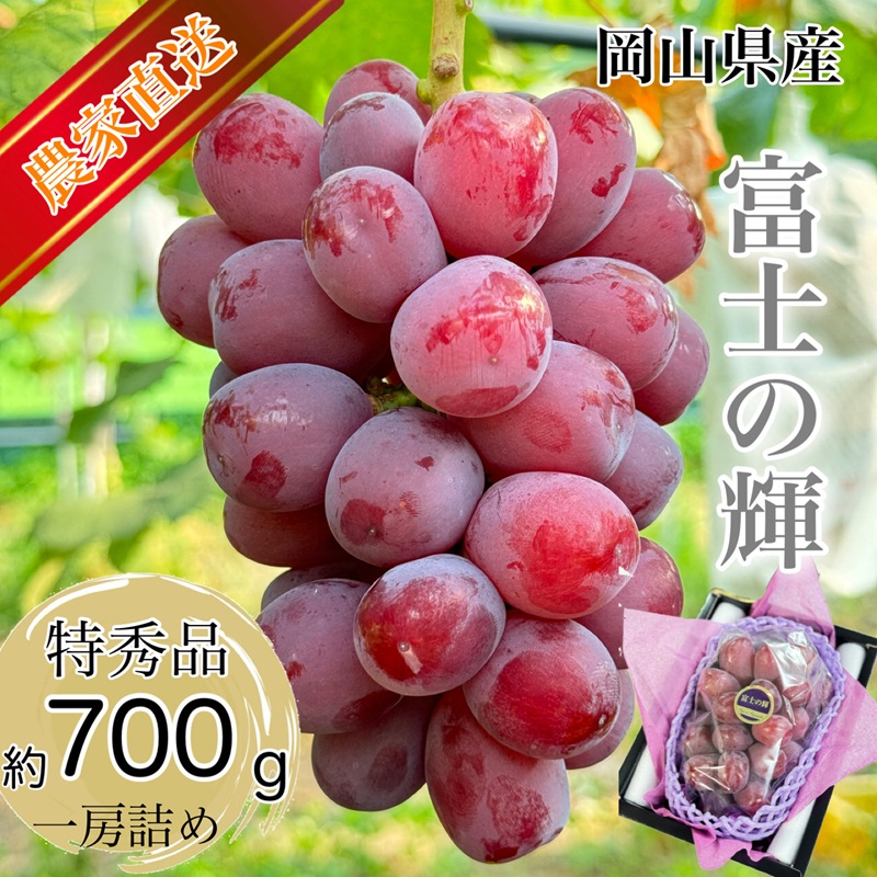 ぶどう 2026年 先行予約 話題の品種 富士の輝 1房詰め 特秀ランク 700g