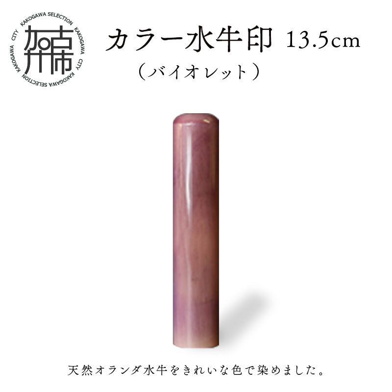 最高級印材 カラー水牛 印鑑の最高峰【オランダ水牛18.0mm 高級ケース付】認印・銀行印に