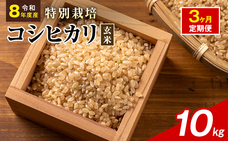 令和8年産 特別栽培米 コシヒカリ 玄米 10kg 静岡県産 色彩選別済 食に
