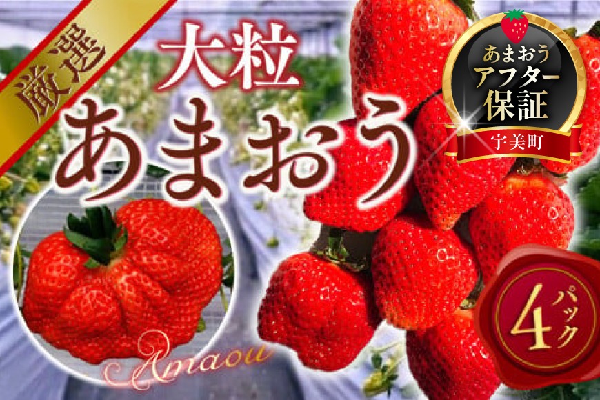 いちご あまおう 厳選大粒 4p 【2027年発送】 [THE FARM_strawberry