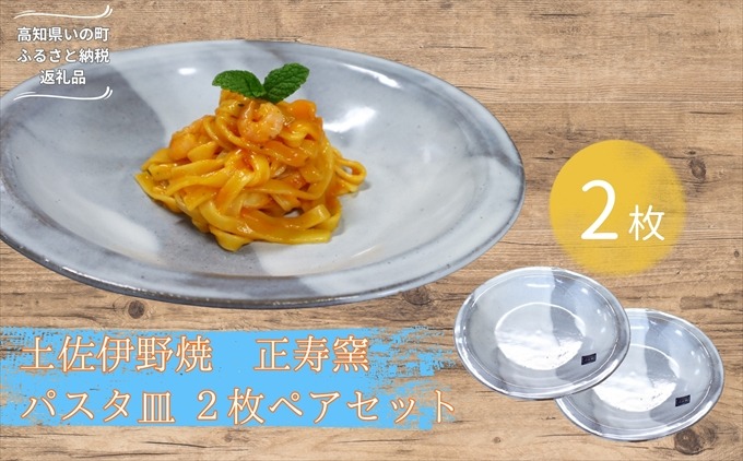 焼き物 パスタ皿 2枚ペアセット（高知県いの町） | ふるさと納税