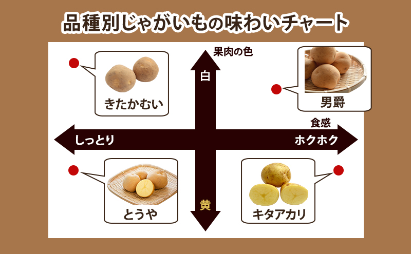 2026年 出荷 先行予約 】 北海道 倶知安 産 じゃがいも とうや L