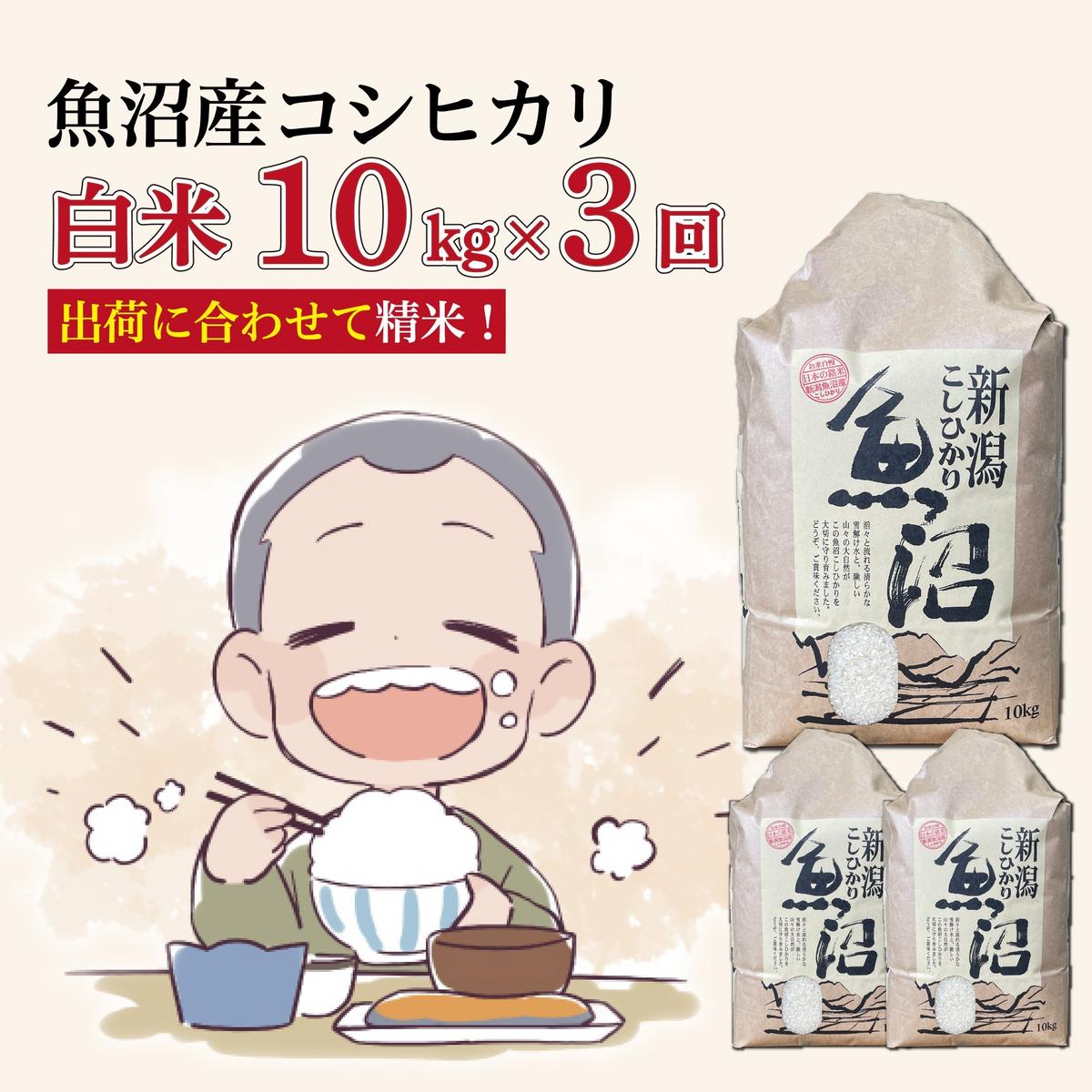 3か月定期便】令和8年産新米 魚沼産コシヒカリ 精米10kg×3回 計30kg