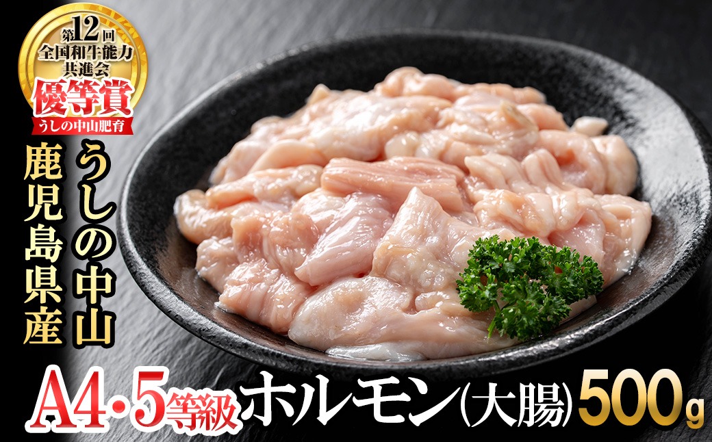 うしの中山 ホルモン(大腸)500g(500g×1袋) p9-028（鹿児島県志布志市