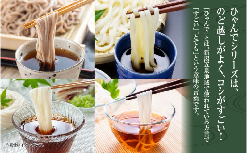 ひゃんで 乾麺4種セット 600g 各2袋 計8袋 約48人前 そば うどん